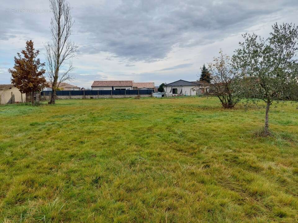 Terrain 540 m² à Villebrumier  - photo 5