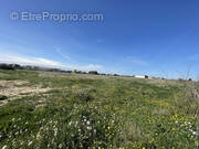 Terrain à NIMES