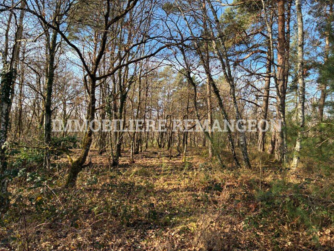 Maison à LAMOTTE-BEUVRON