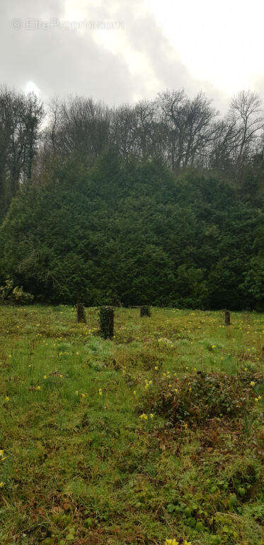 TERRAIN ROSOY DHETZ - Terrain à ROSOY