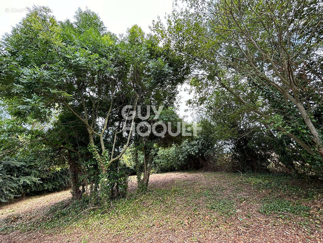 Maison à LE MESNIL-GILBERT