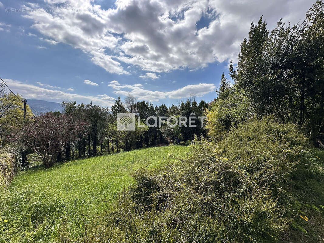 Terrain à LA TRONCHE