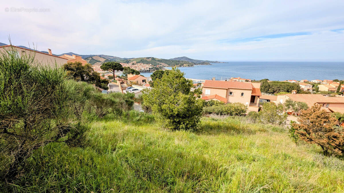 Terrain à BANYULS-SUR-MER