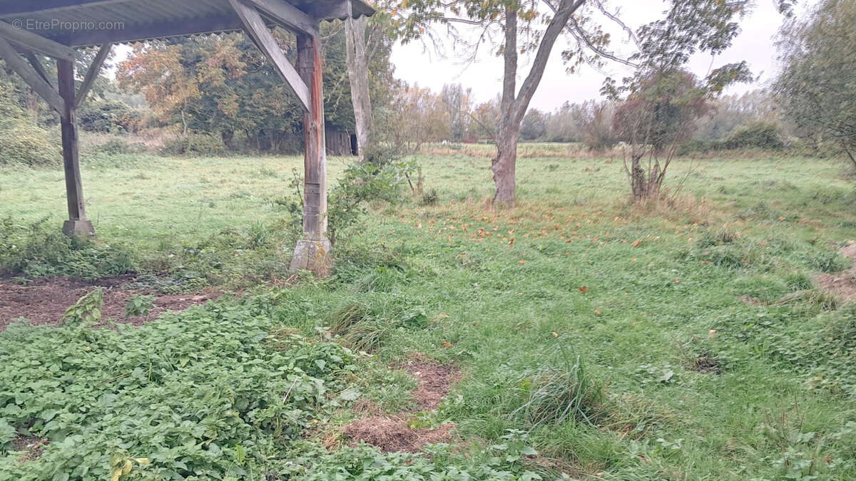 Maison à NOYELLES-SUR-MER