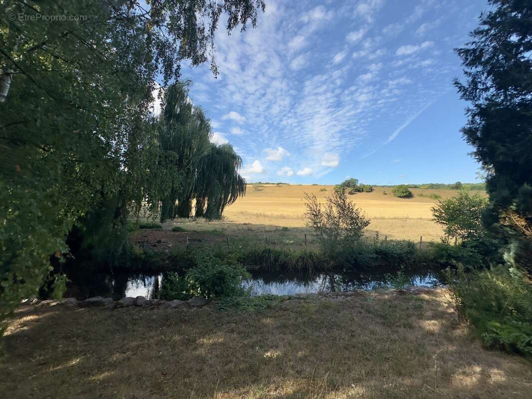 Maison 6 pièces avec terrain de 4 700 m² – Bord de rivière, belle vue sur la campagne – Bretteville-sur-Laize (14) - photo 12