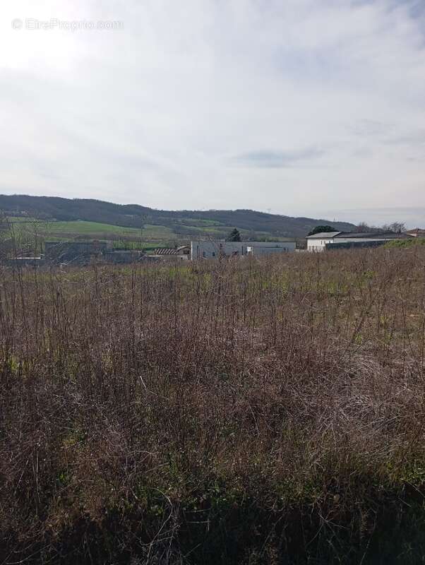 Terrain 601 m² à Anneyron  - photo 2
