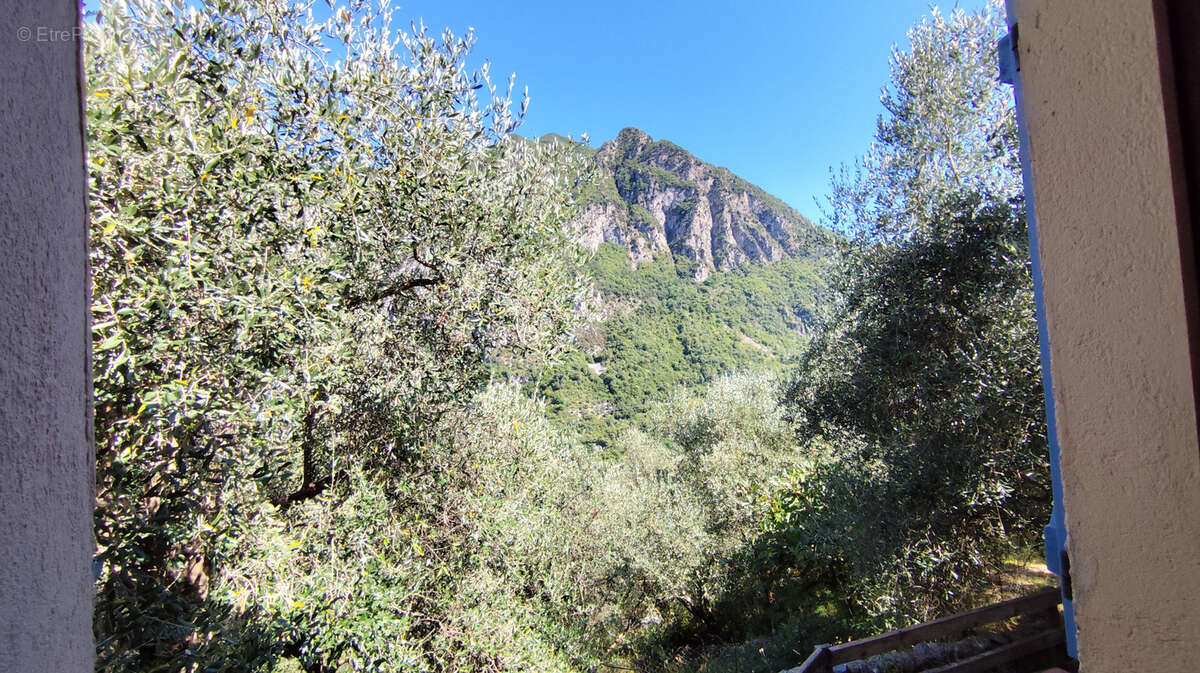 Maison à BREIL-SUR-ROYA