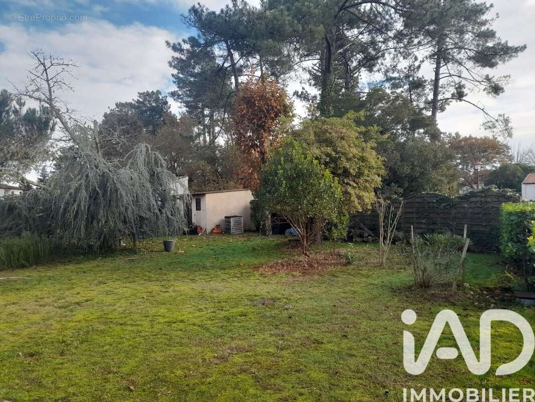 Photo 6 - Maison à PARENTIS-EN-BORN