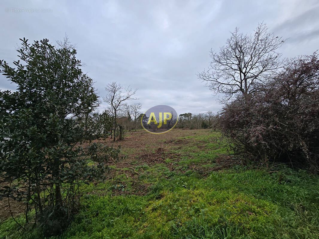 Terrain à GUEMENE-PENFAO