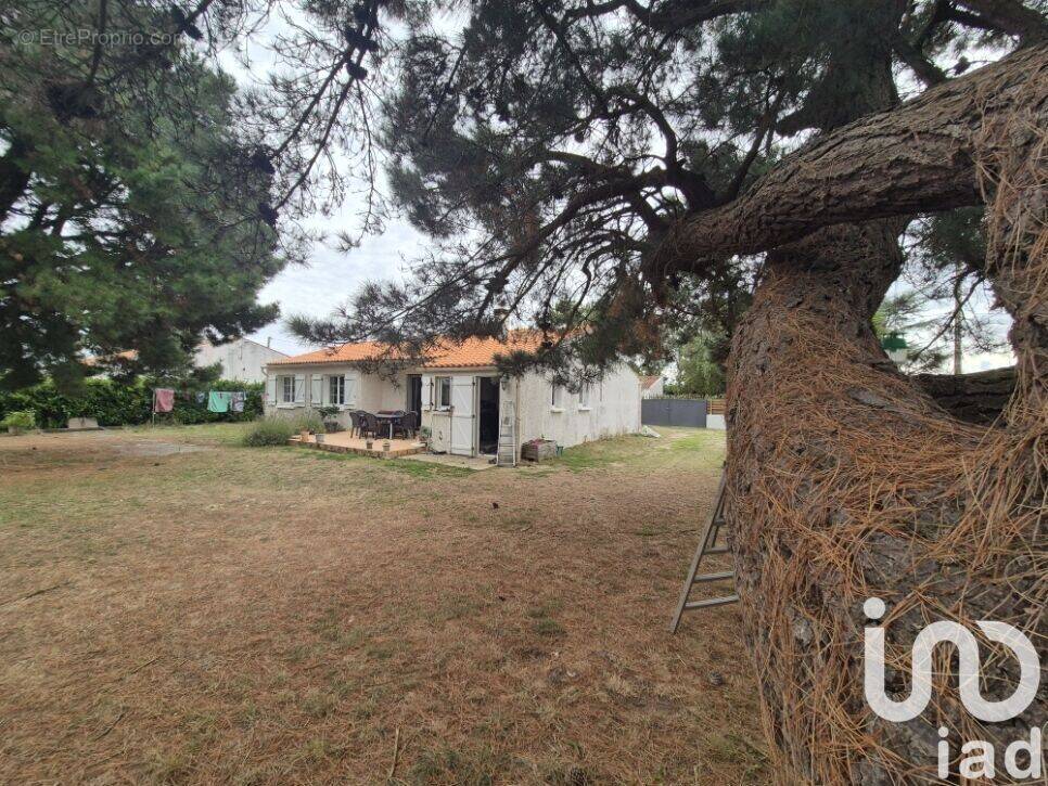 Photo 1 - Maison à SAINT-VINCENT-SUR-JARD