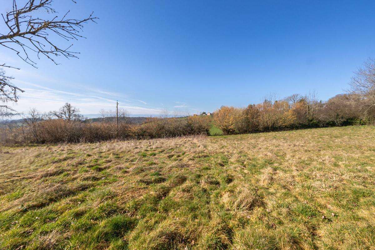 Terrain à SAINTE-AGATHE-EN-DONZY