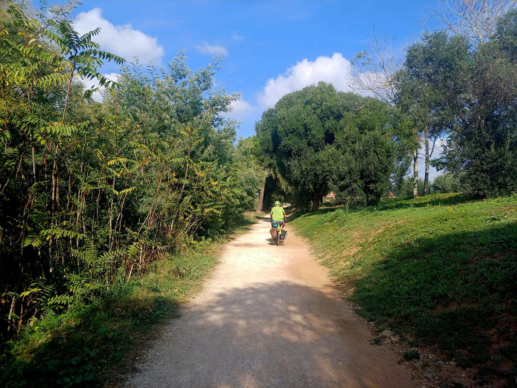 Maison à LA LONDE-LES-MAURES