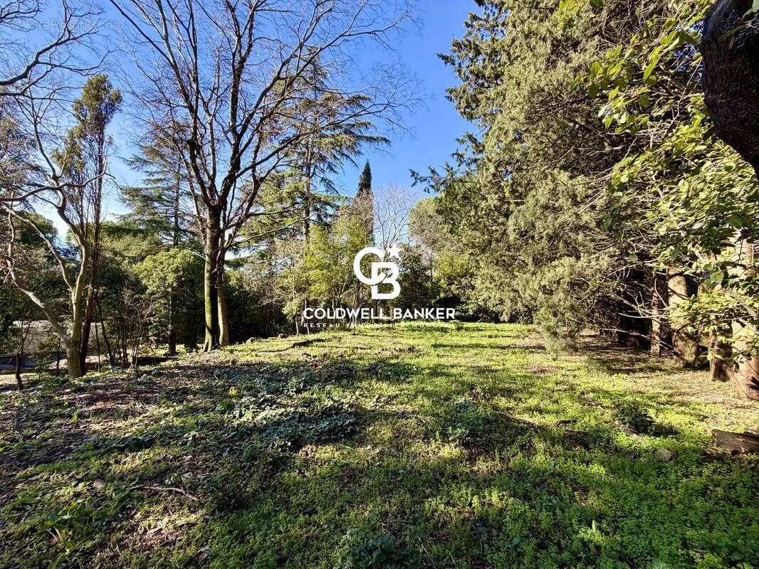 Terrain à MONTPELLIER