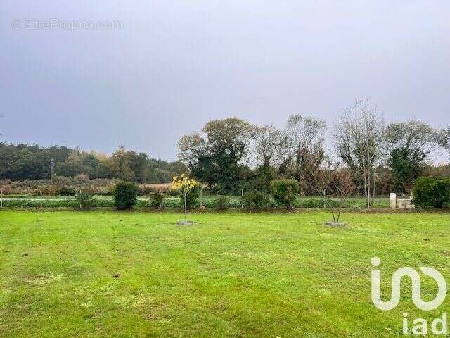 Photo 6 - Terrain à TALMONT-SAINT-HILAIRE