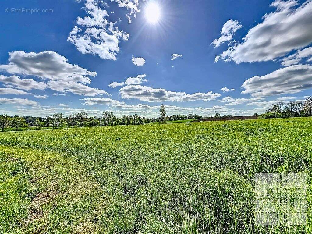 Havre de paix à Ernée – ferme fruitière naturelle et chambres d’hôtes - photo 19