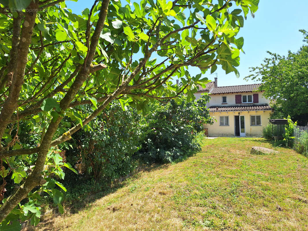 Maison 126 m² à Soual  - photo 6