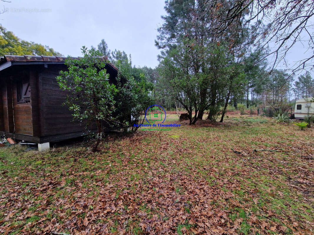 Terrain à BISCARROSSE