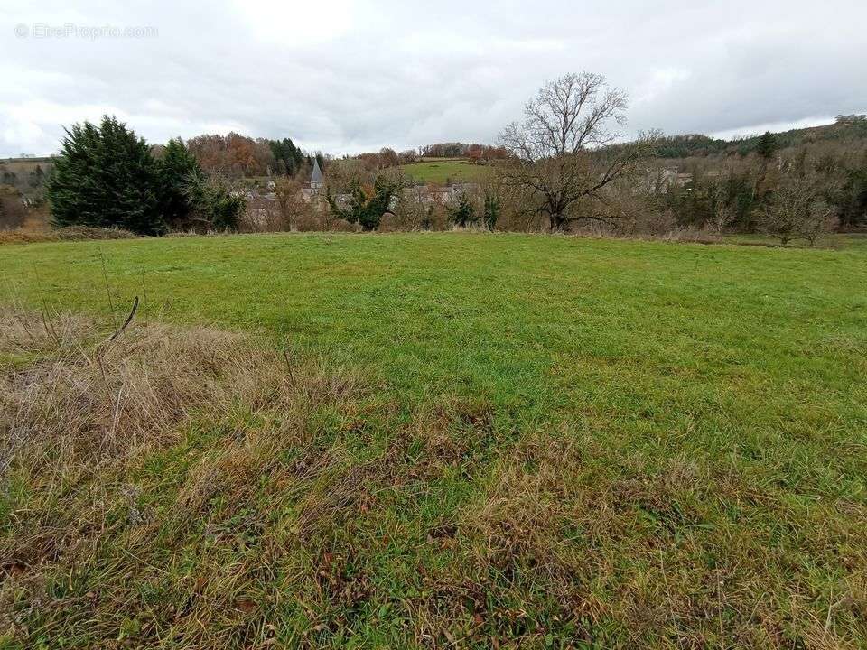 Terrain à FERRIERES-SUR-SICHON