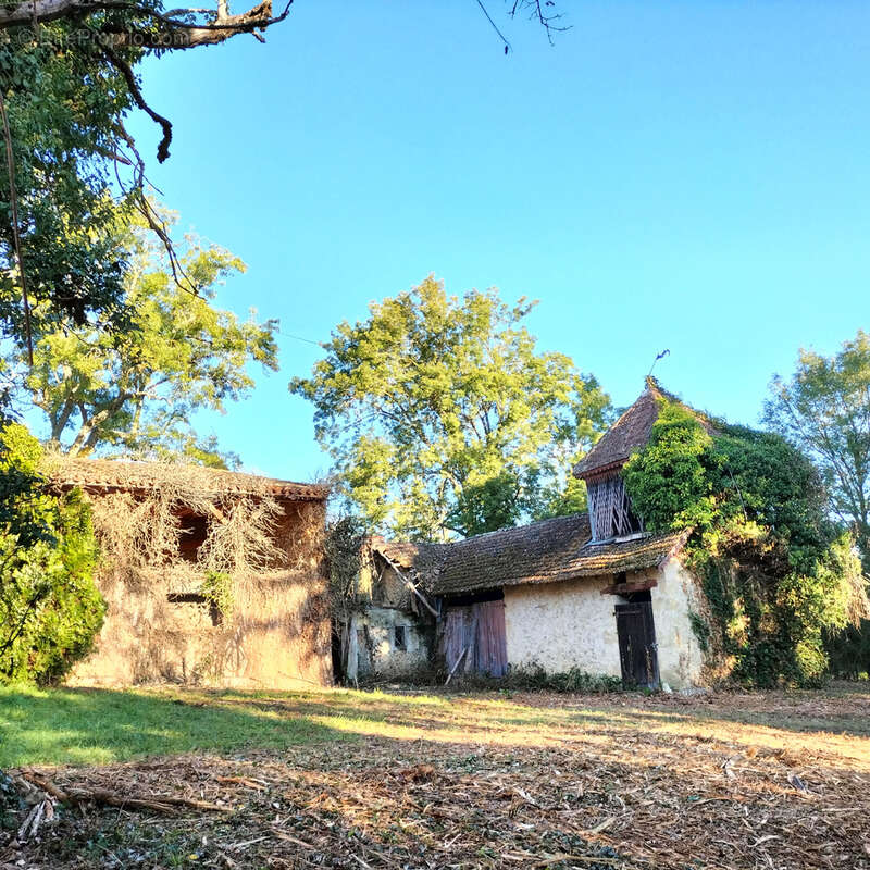 Maison à TACHOIRES