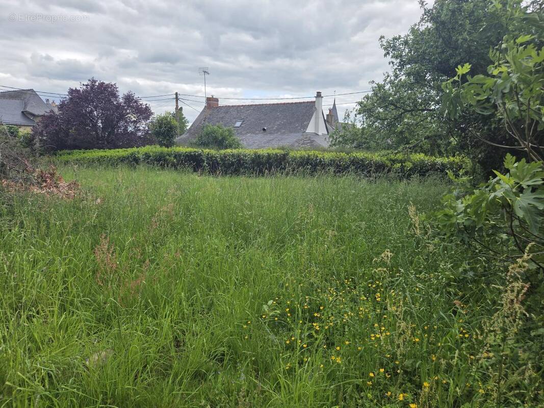 Terrain à SAINT-MICHEL-DE-FEINS