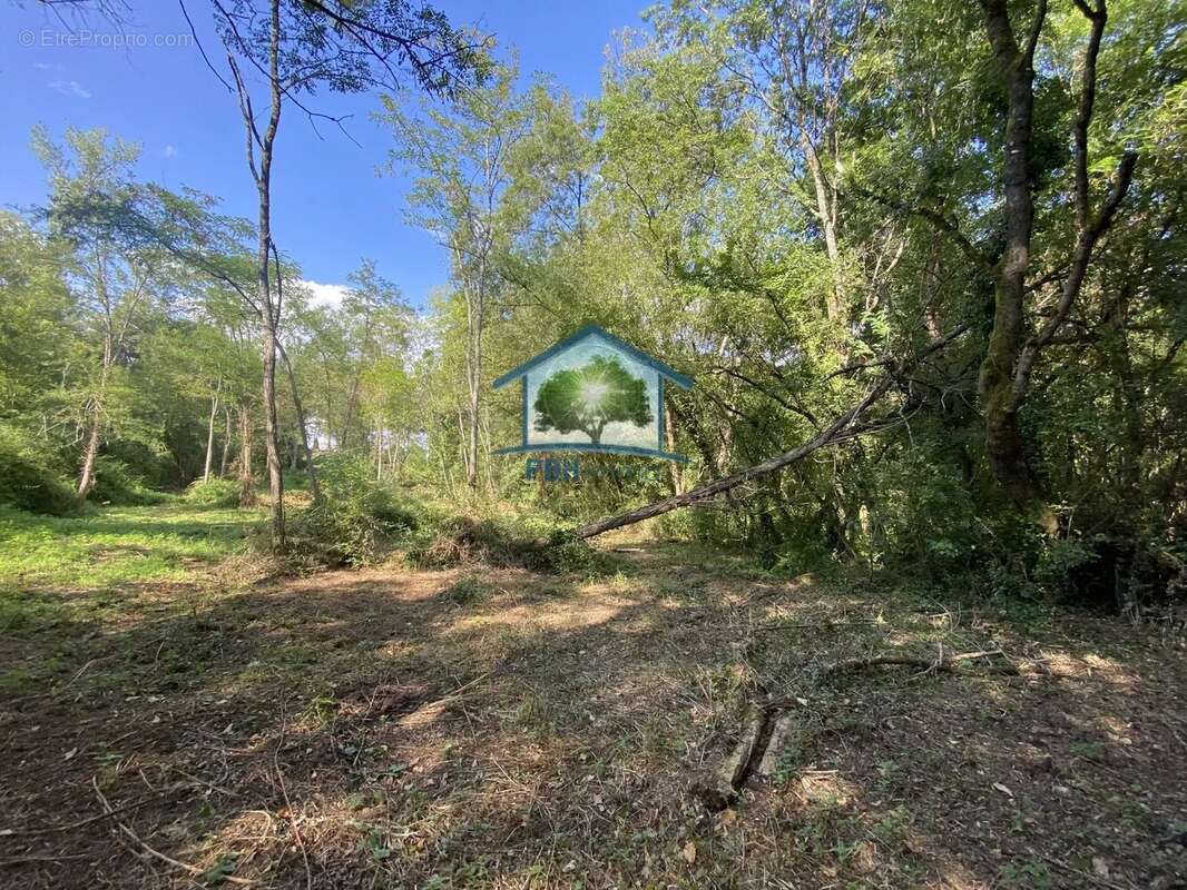Terrain de loisirs de 3 230 m2 - photo 2