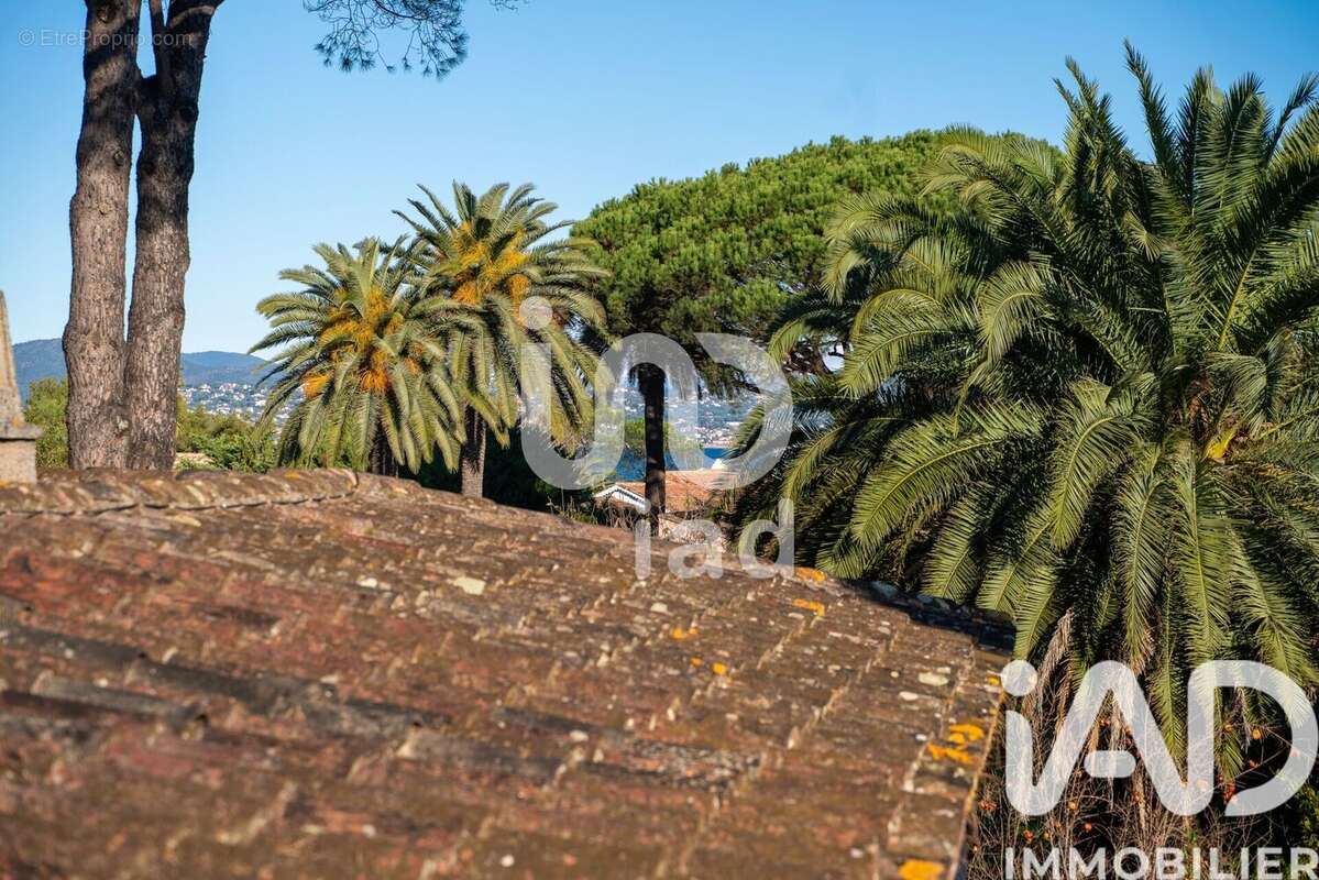 Photo 2 - Maison à SAINT-TROPEZ