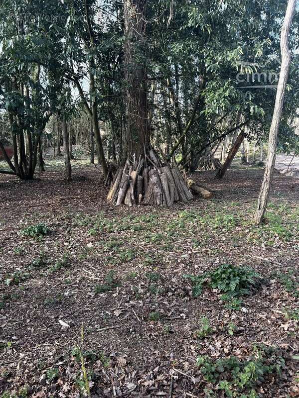 Terrain à CONGIS-SUR-THEROUANNE