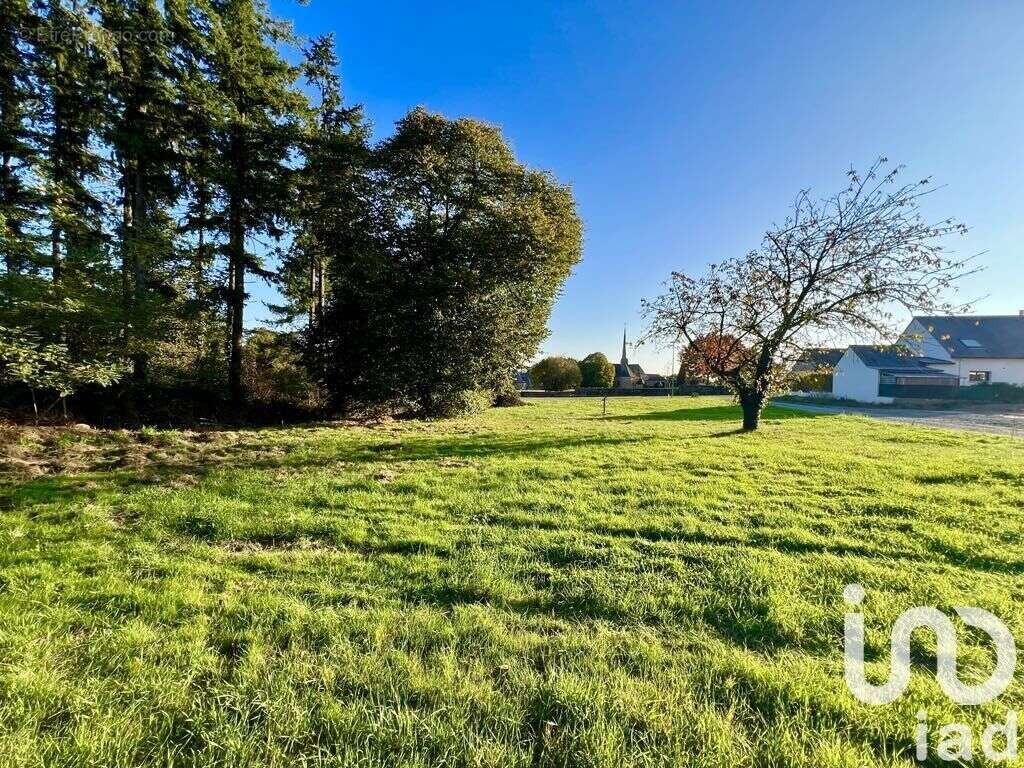 Photo 3 - Terrain à LA CHAPELLE-BOUEXIC