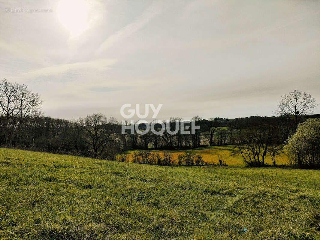 Terrain 1320 m² proche d'Orthez direction Pau - photo 2