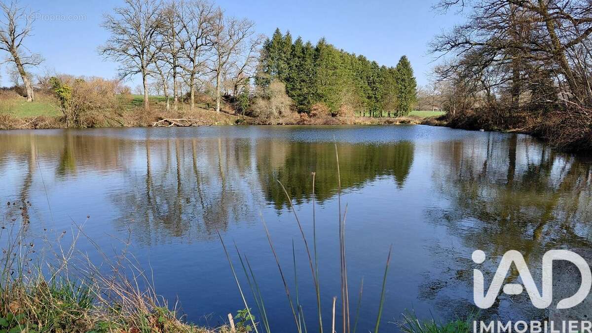 Photo 3 - Terrain à SAINT-PRIEST-LA-FEUILLE