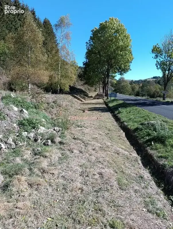 Terrain 2 577 m² à vendre à Saint-Cirgues-En-Montagne (07510) - photo 8