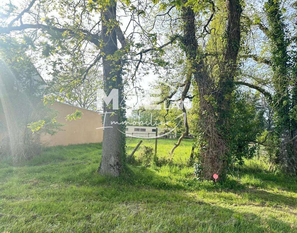 Terrain à LE CELLIER