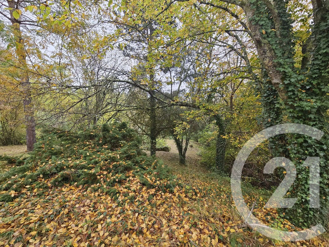 Maison à LAMOTHE-CAPDEVILLE