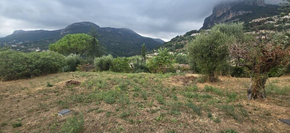 Terrain à SAINT-JEANNET