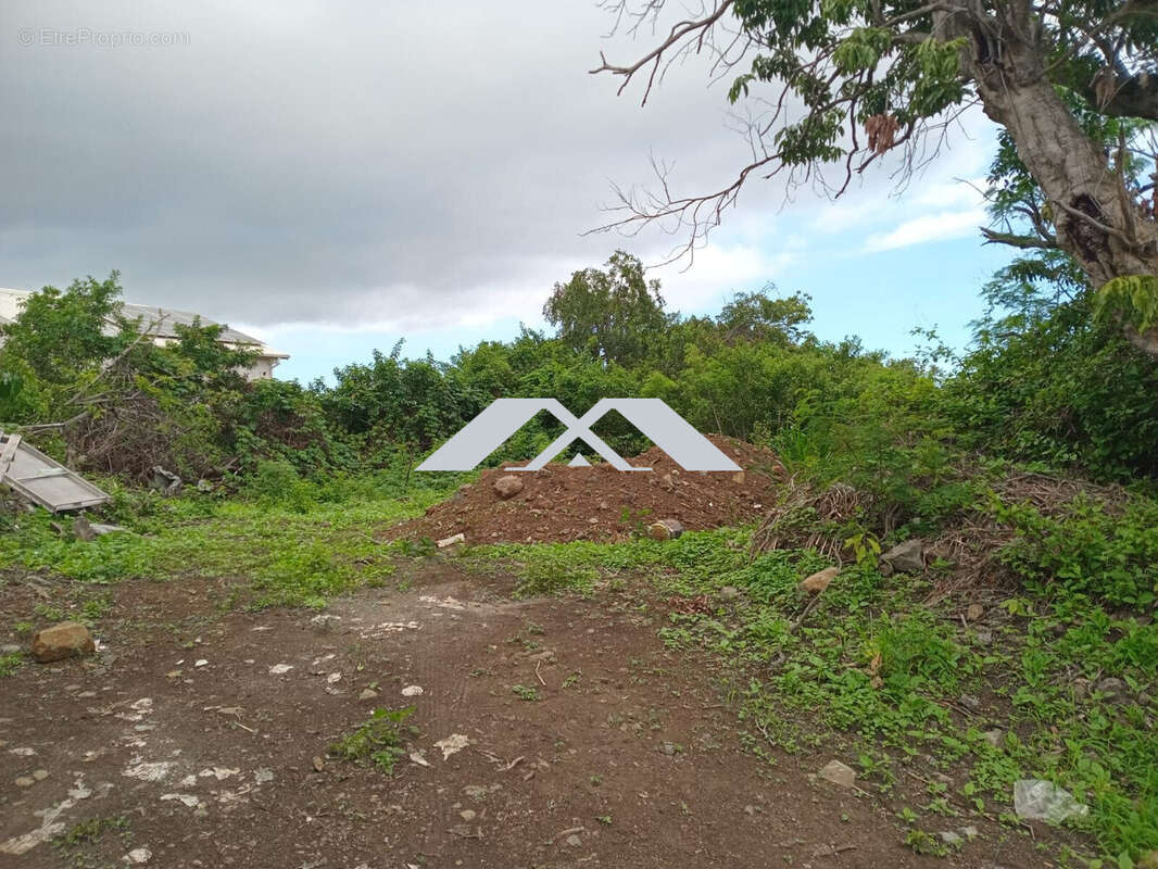 Terrain à SAINT-PAUL