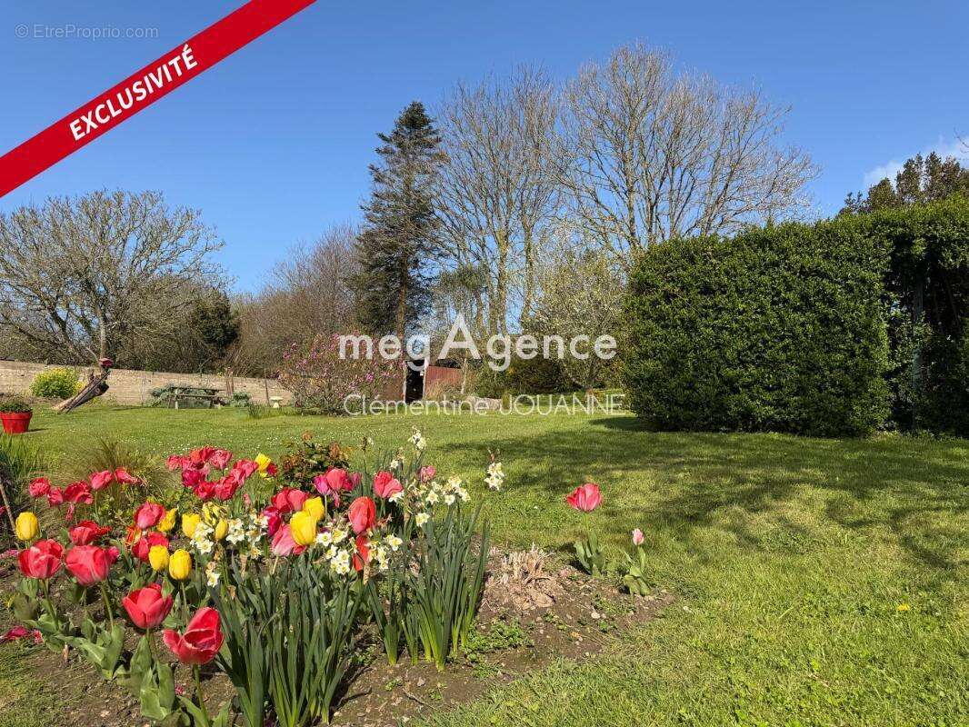 Maison à SIOUVILLE-HAGUE