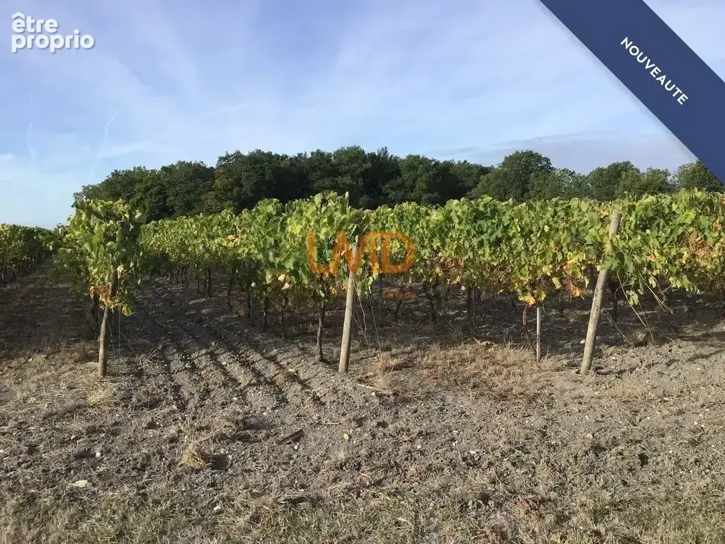 Vignoble de 2,80 ha en Petite Champagne - photo 3