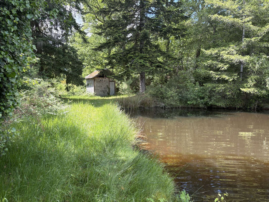 Proche Saint Yrieix La Perche - photo 6