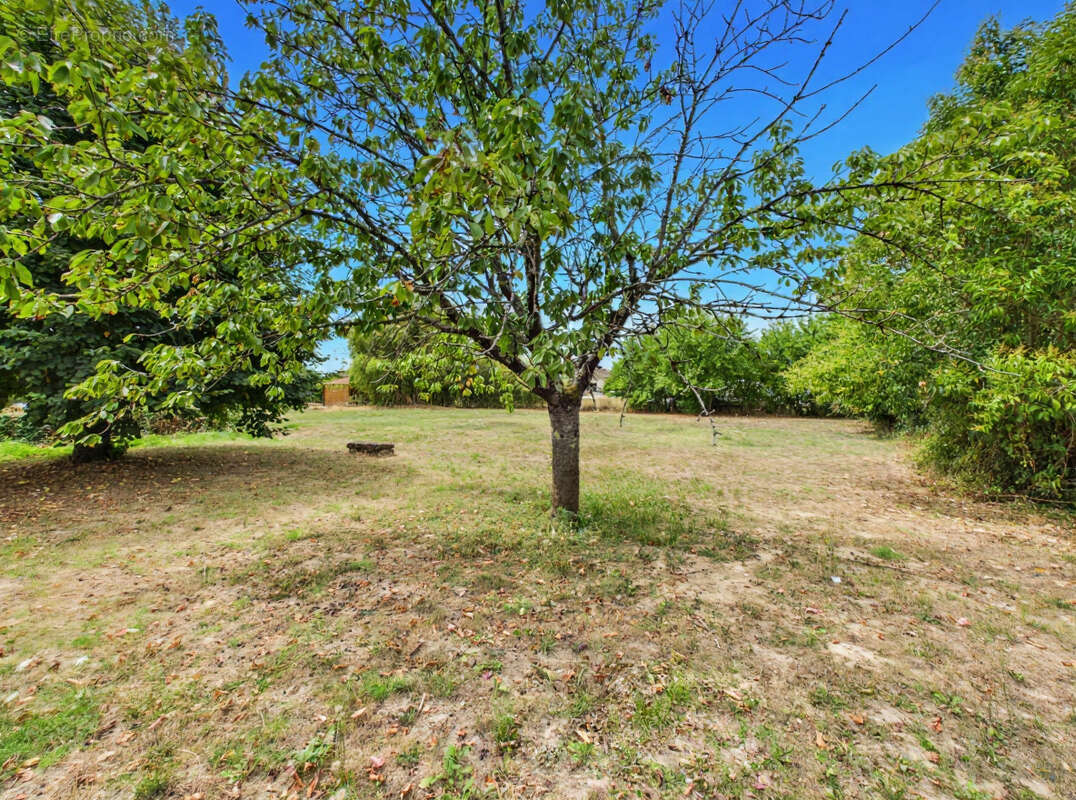 Maison de plain pied avec jardin 87 m2 47200 MARMANDE - photo 2