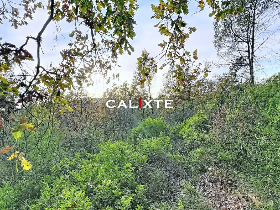 Terrain à SAINT-PAUL-EN-FORET