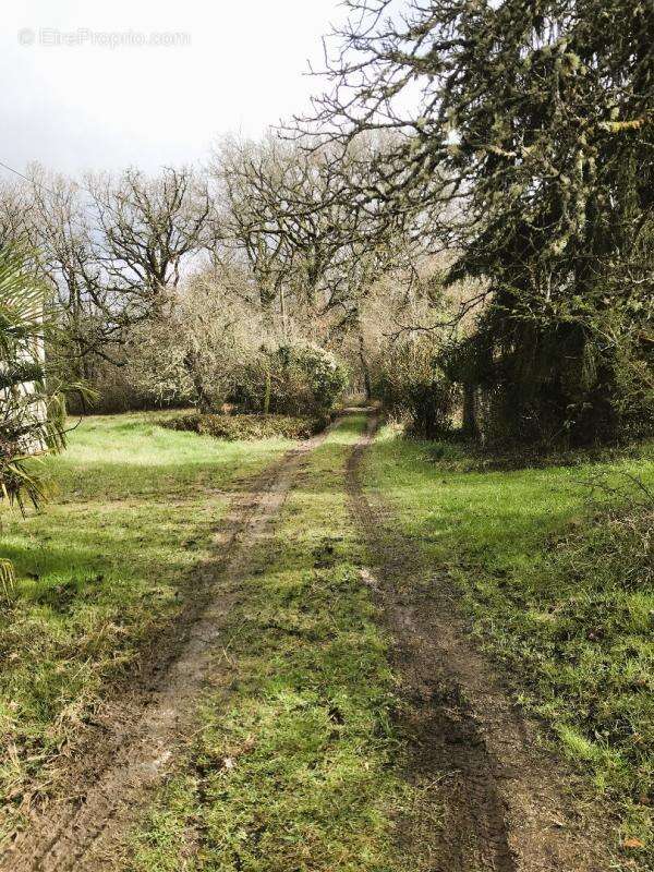 Maison à TOCANE-SAINT-APRE