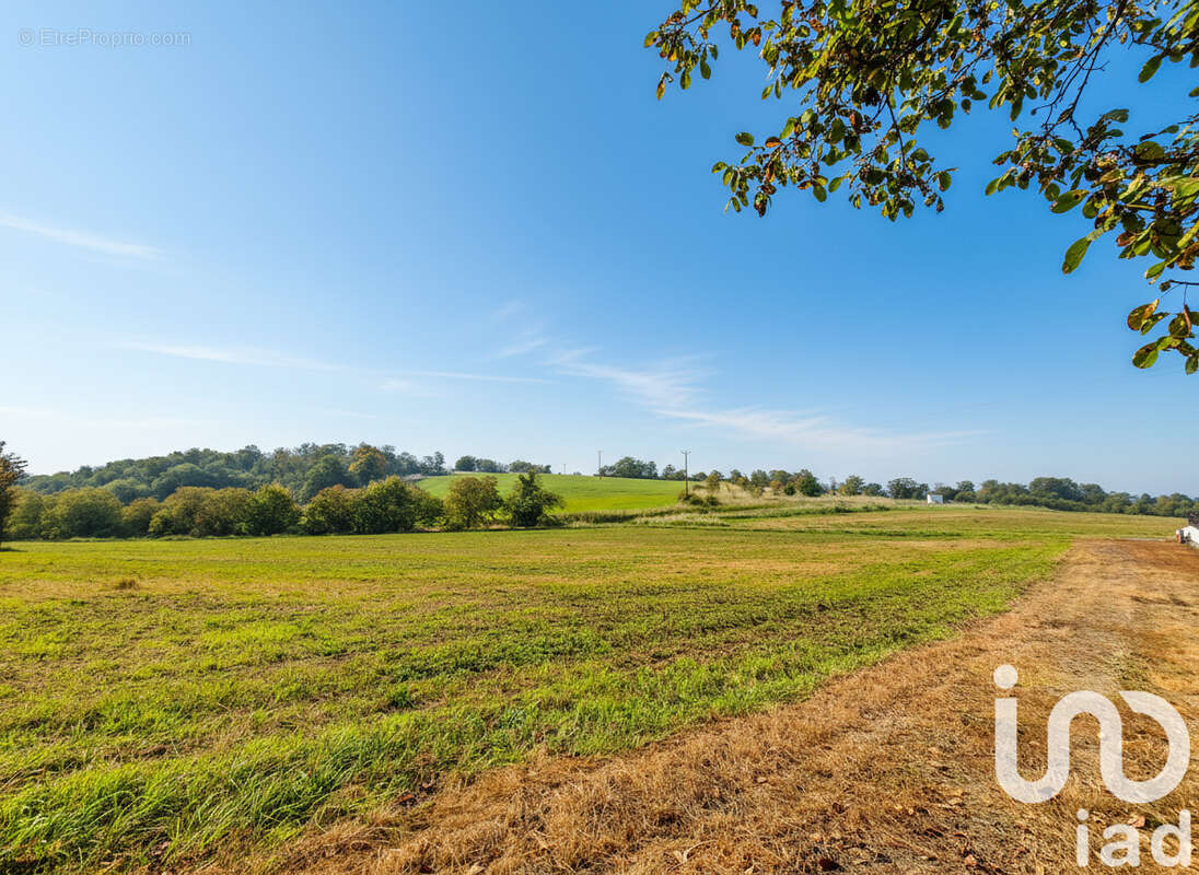 Photo 2 - Terrain à BEAUREGARD-VENDON