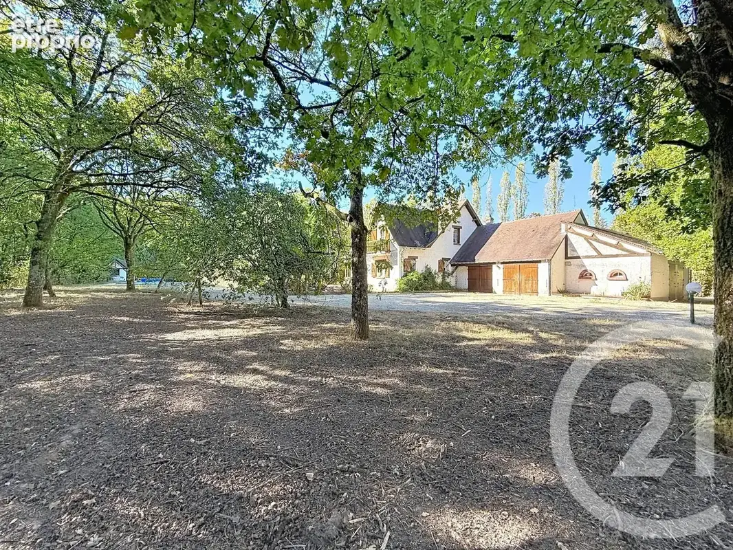 Photo Maison à Menestreau-En-Villette au prix de 399 999€