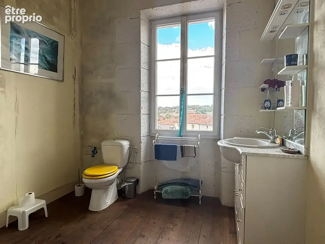 Maison de maître 358m² à availles-limouzine - photo 12