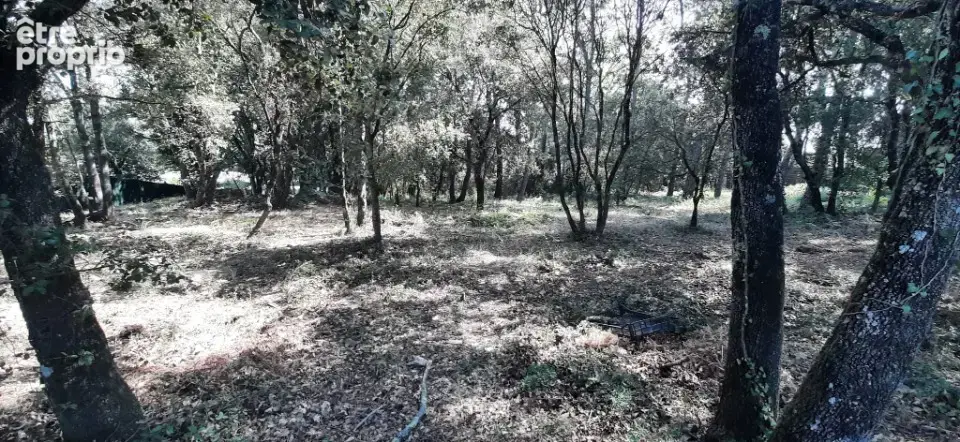 Terrain à LE THORONET