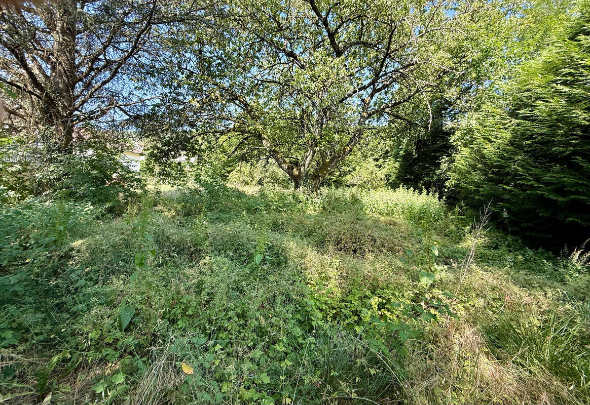 Terrain à LEAZ