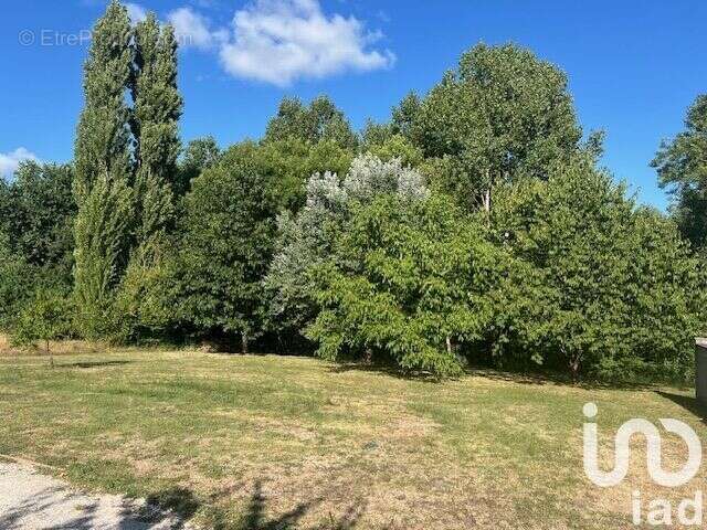 Photo 8 - Maison à COUTRAS