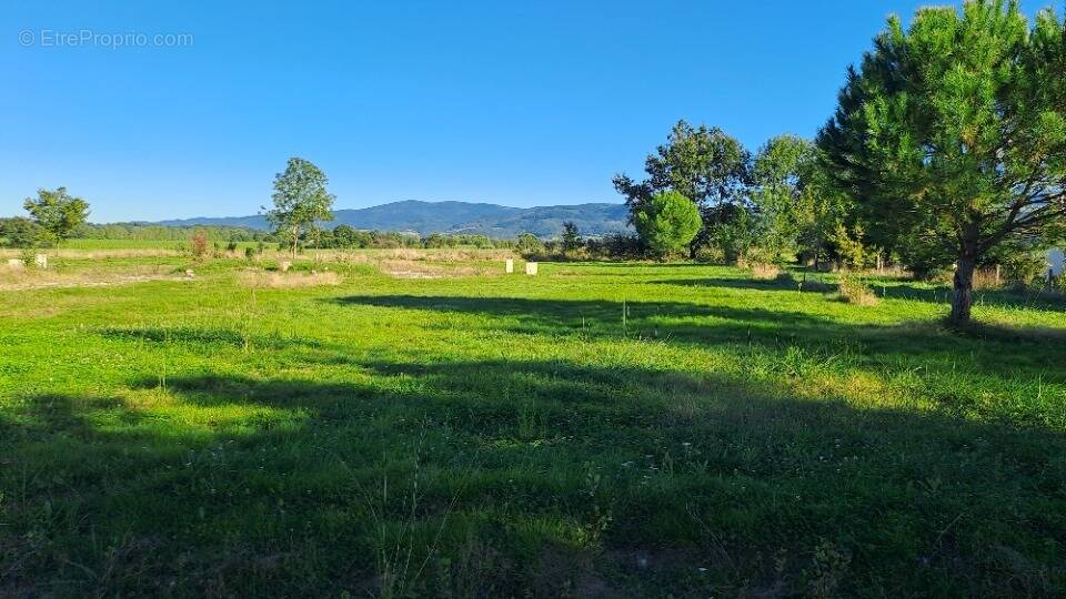 Terrain à SOUAL