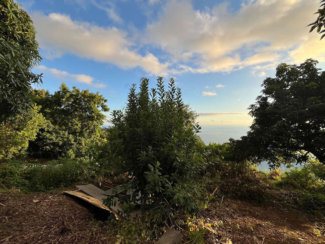Terrain à SAINT-LEU