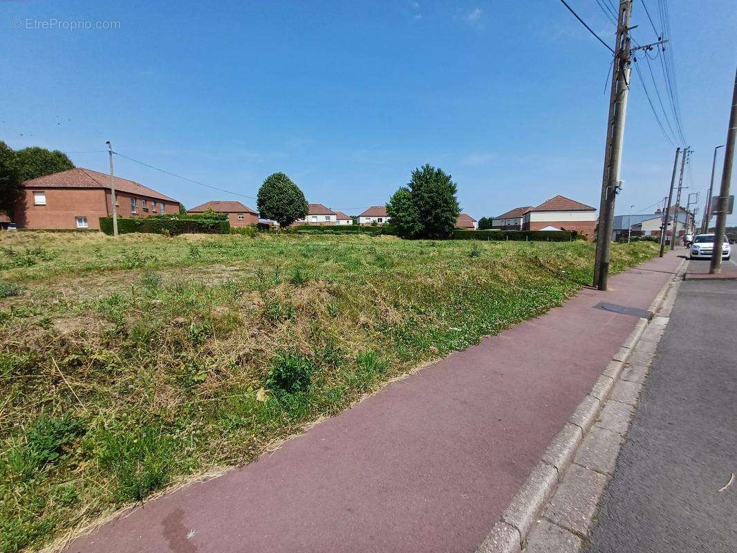 Terrain à SALLAUMINES